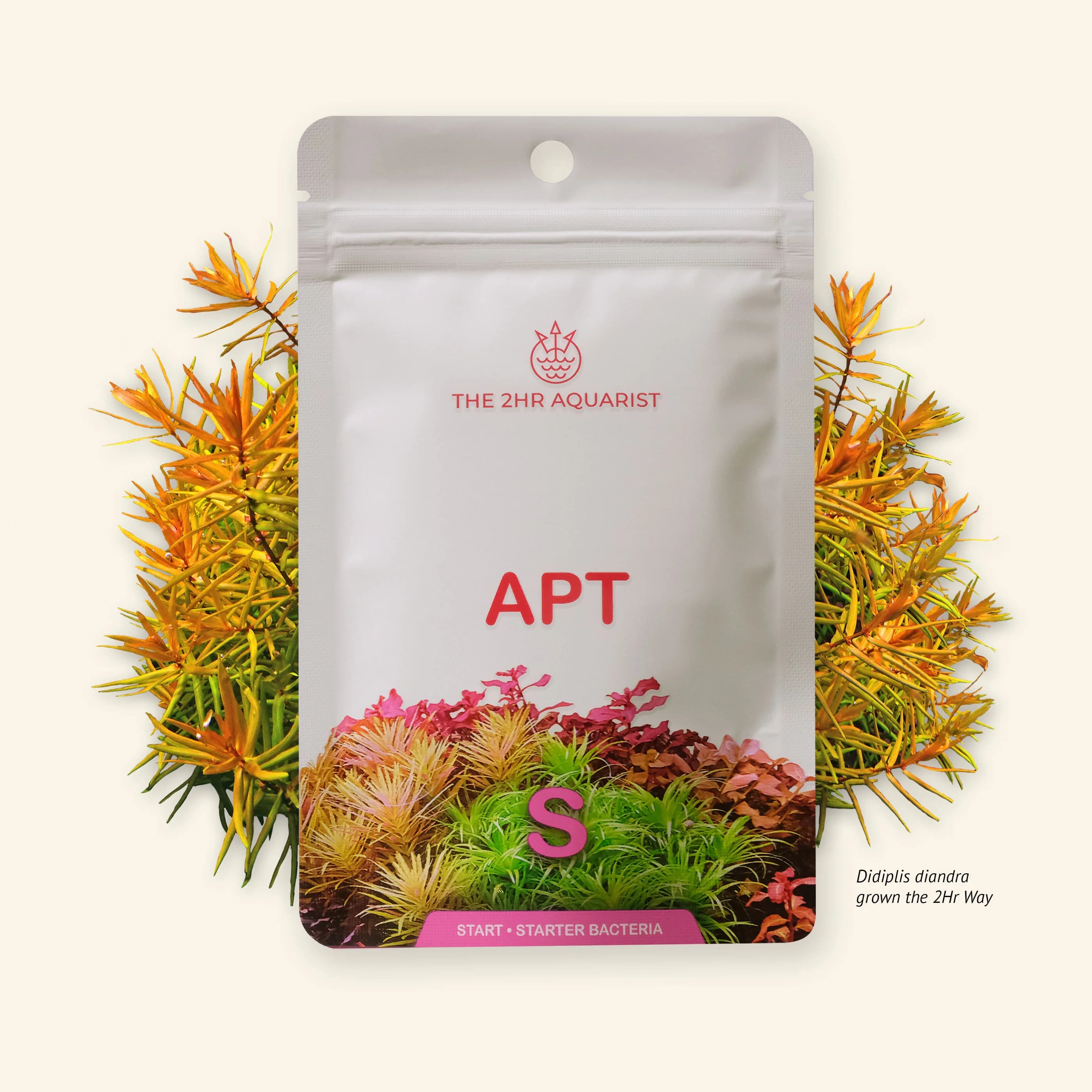 APT Start (45g)