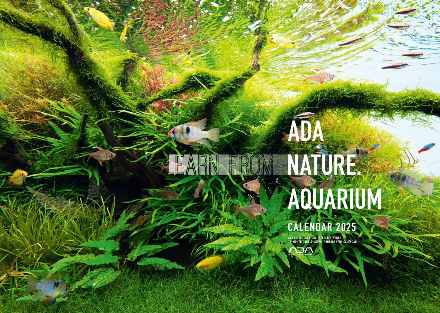 Calendário ADA Nature Aquarium 2025