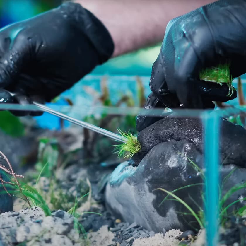 Sticky Soil