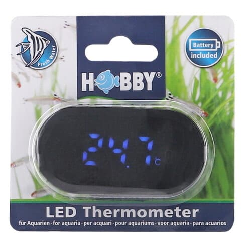 LED Thermometer