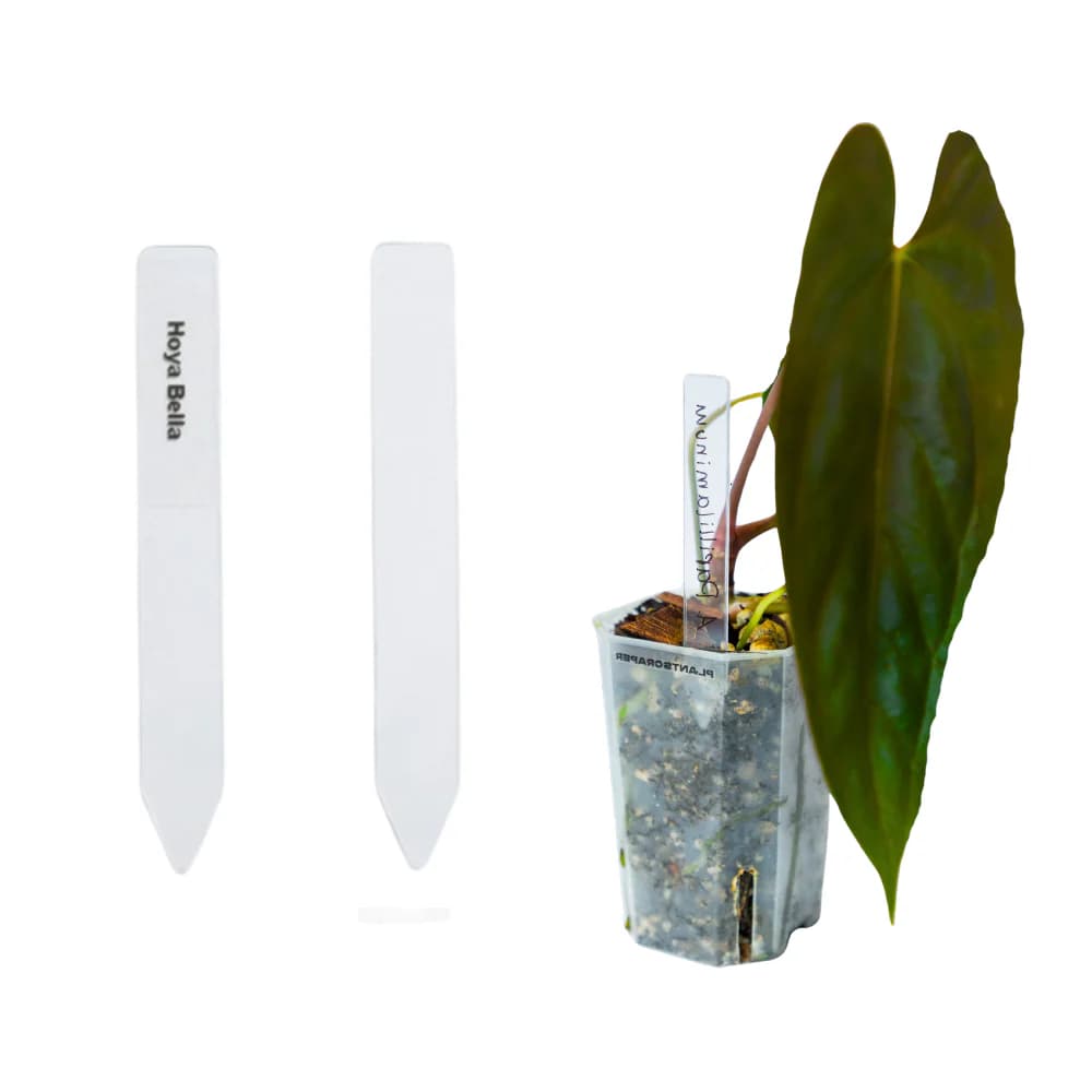 Etiqueta para Plantas S