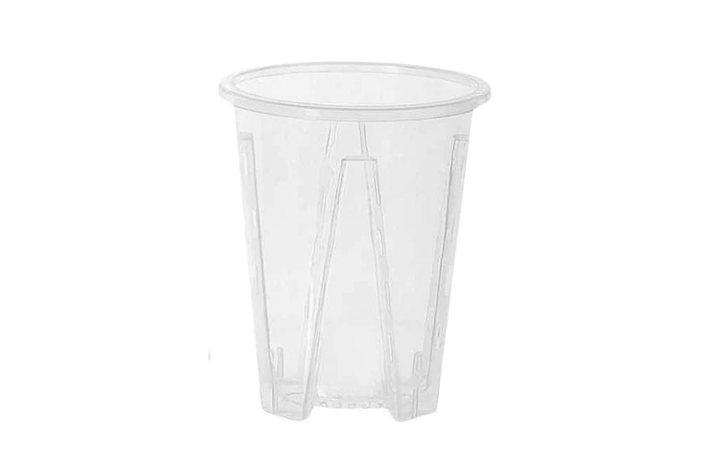 Vaso para Aroides