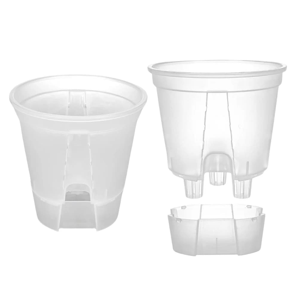Vaso Autoirrigável para Aroides