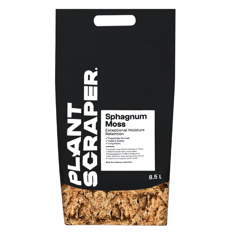 Sphagnum Moss (300g)