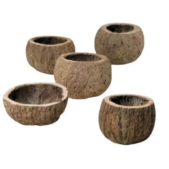 Half coconut