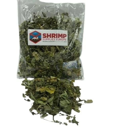 Moringa leaves
